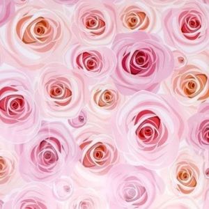 30 9x12   Polymailers + 36 ThankYou